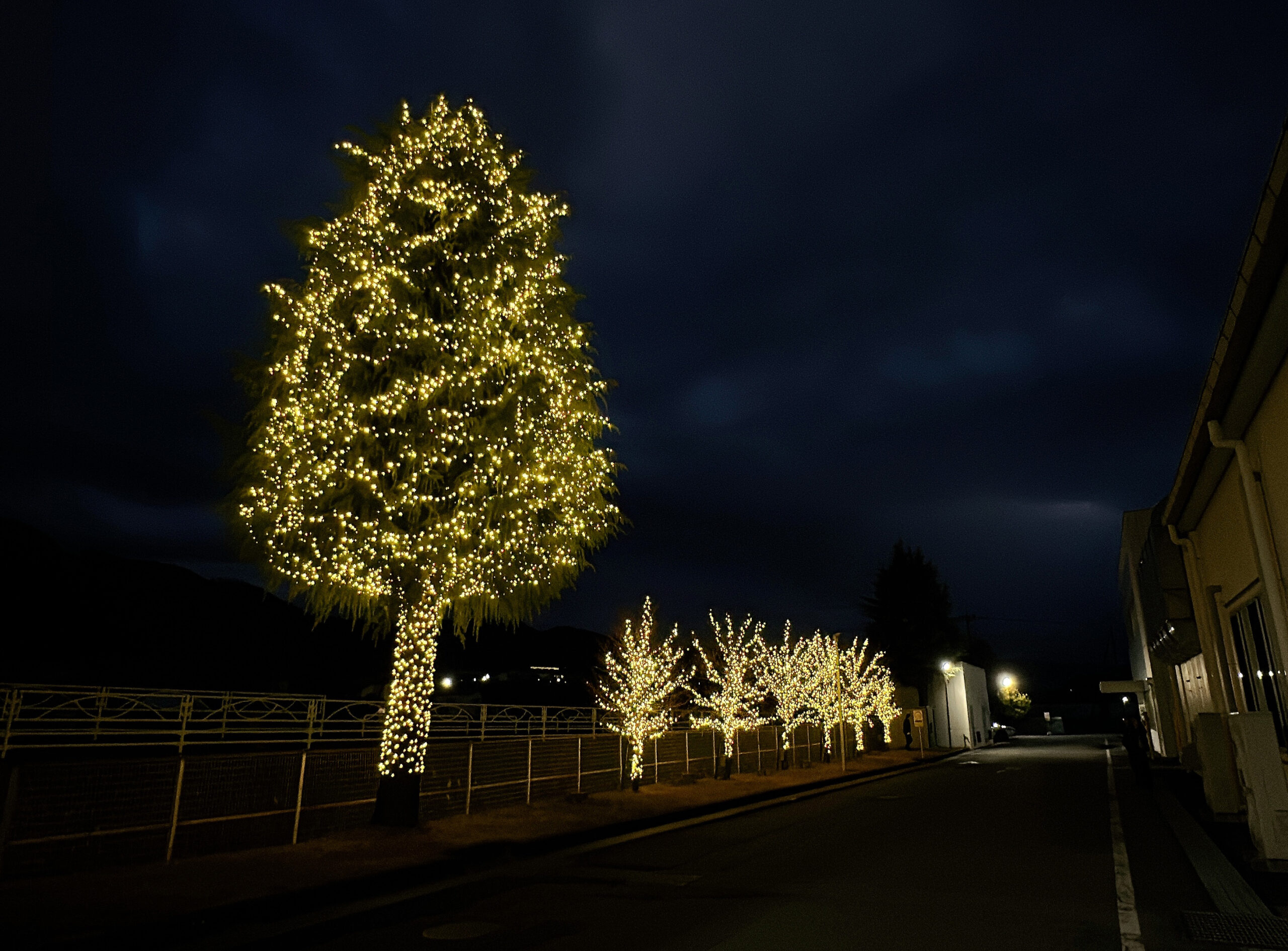 株式会社エノモト イルミネーション