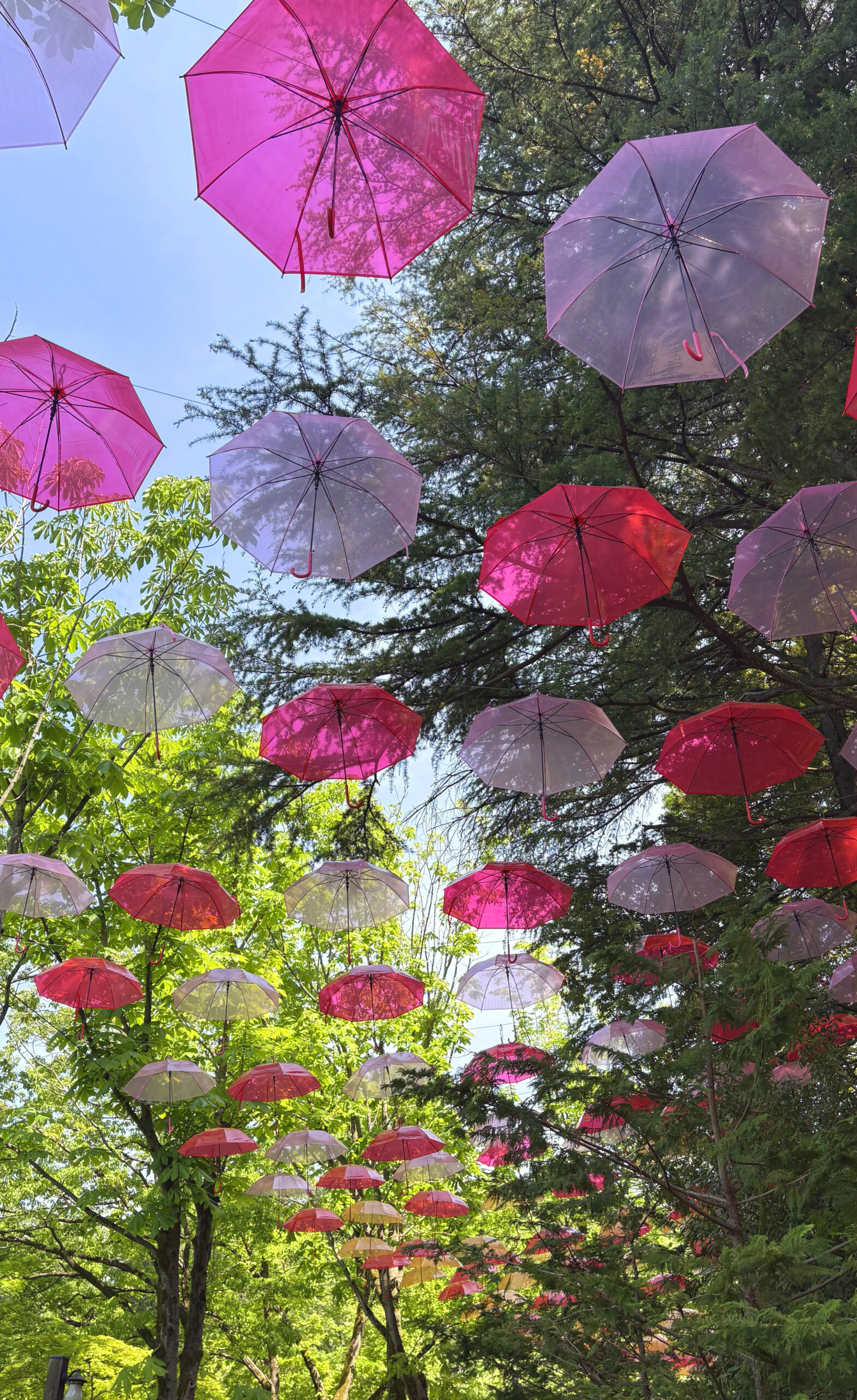 ムーミンバレーパーク アンブレラスカイ4