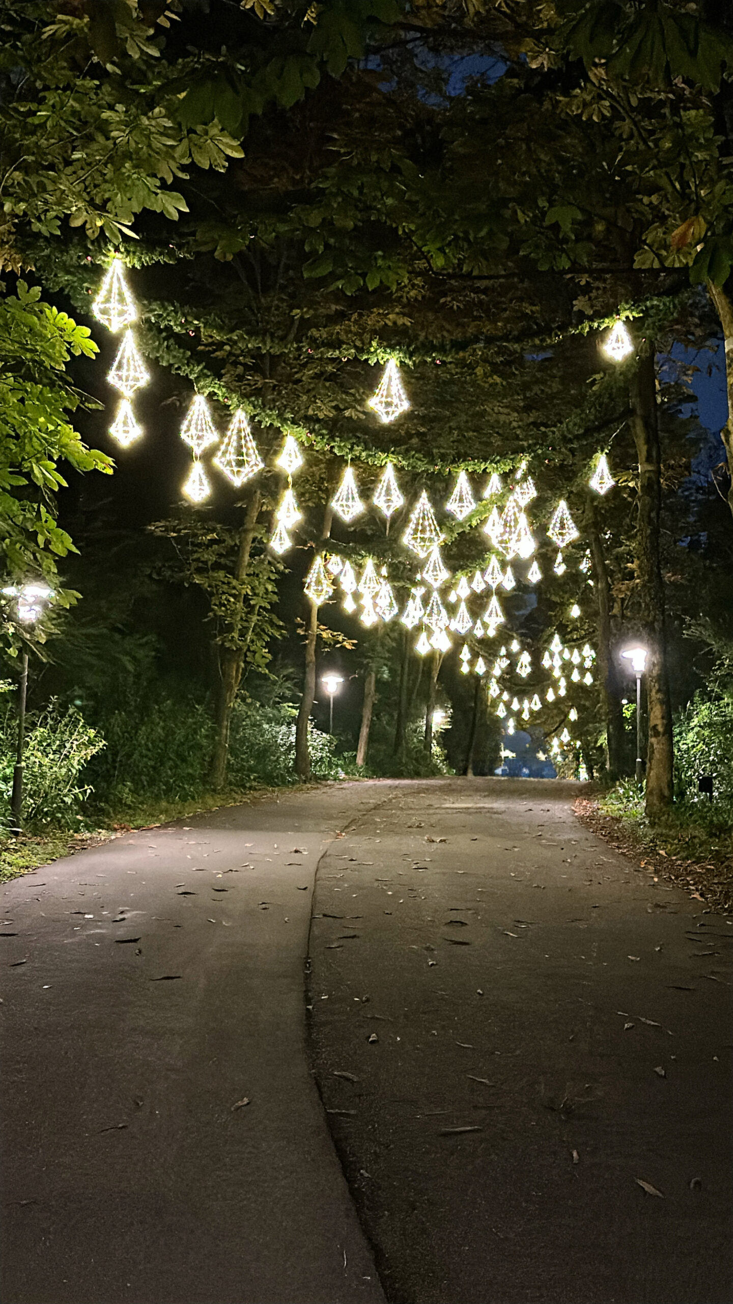 メッツァビレッジ 季節装飾 クリスマス2