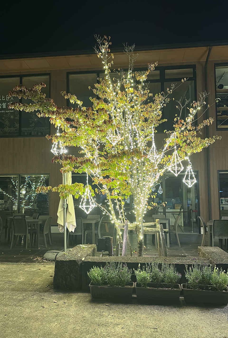 メッツァビレッジ 季節装飾 クリスマス4