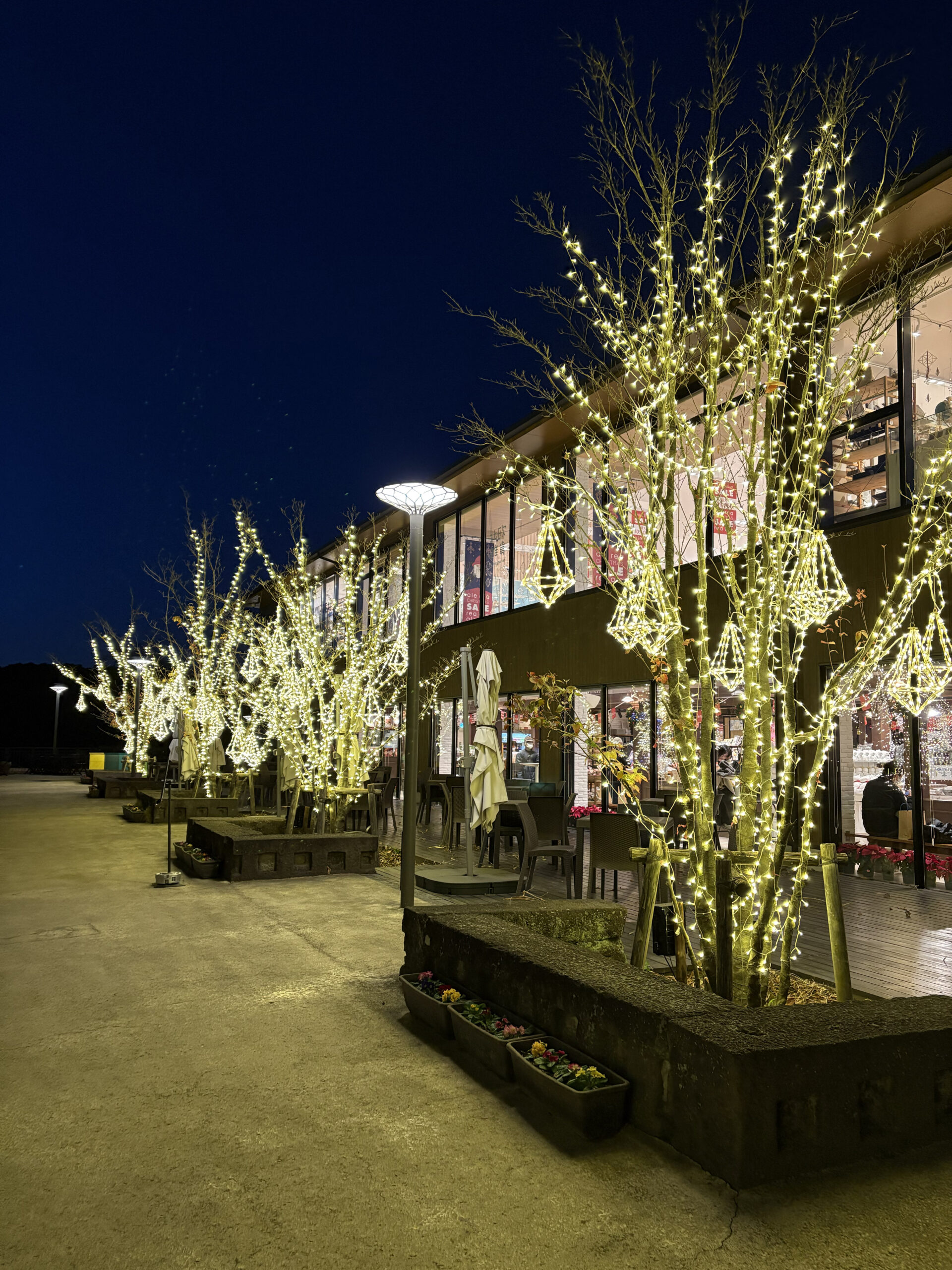 メッツァビレッジ 季節装飾 クリスマス5